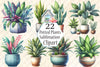 Potted Plants Clipart Bundle