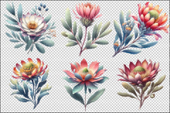 Australian Native Flowers Clipart Bundle - CraftNest - Digital Crafting and Art