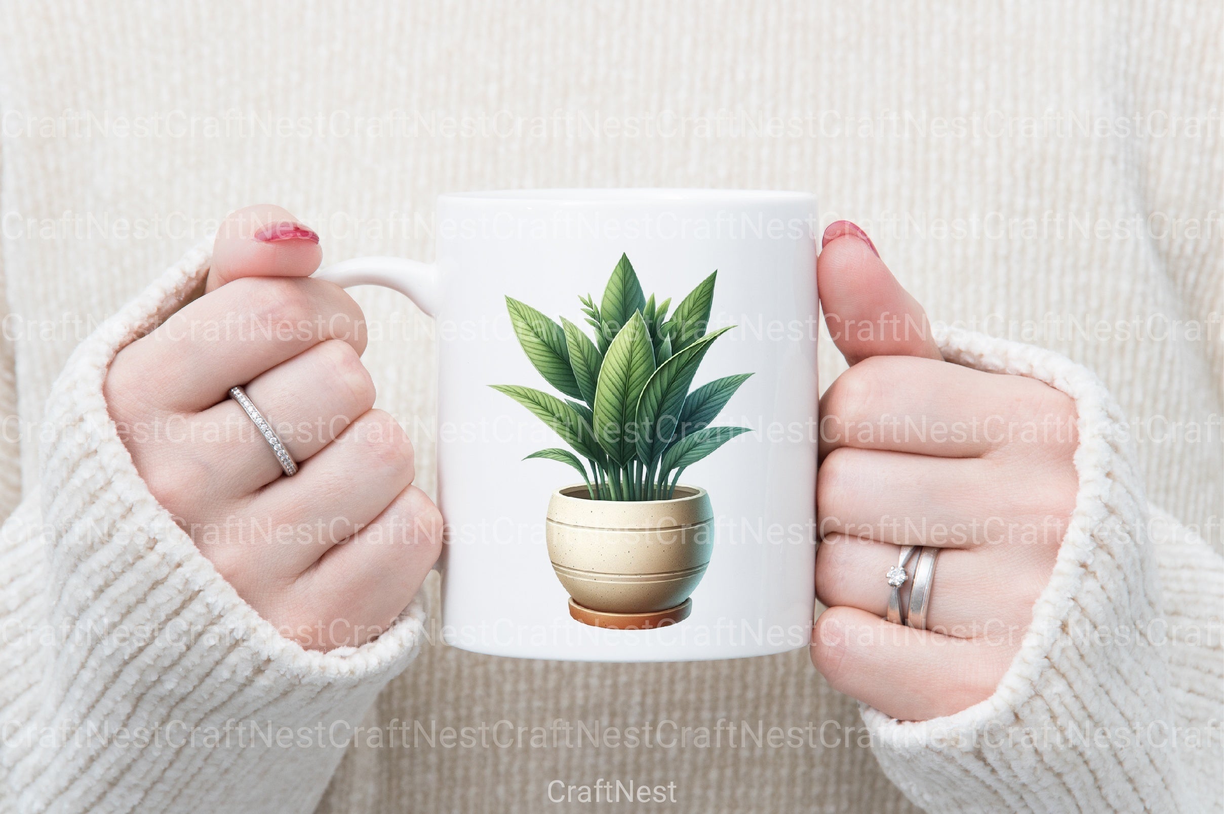 Potted Plants Clipart Bundle - CraftNest - Digital Crafting and Art