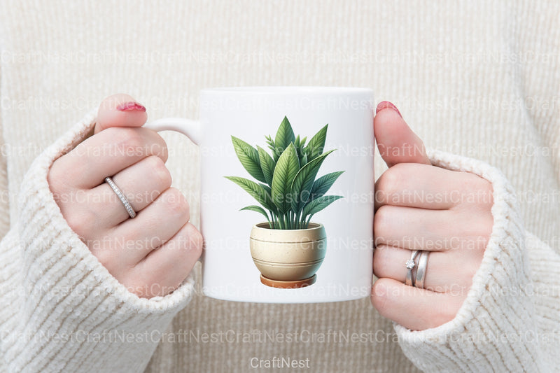 Potted Plants Clipart Bundle - CraftNest - Digital Crafting and Art