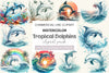 Tropical Dolphins Clipart Bundle