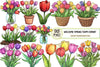 Welcome Spring Tulips Clipart Bundle