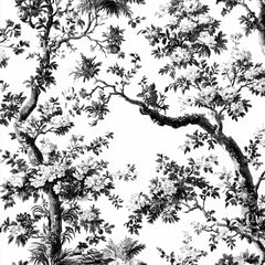 Black White Spring Toile De Jouy Pattern Clipart Bundle - CraftNest - Digital Crafting and Art