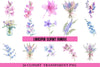 Larkspur Clipart