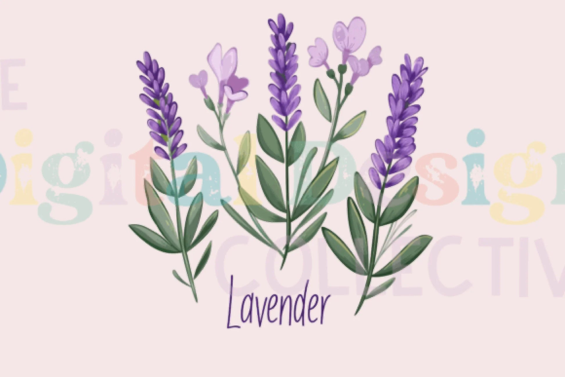 Lavender Purple Flowers Clipart Bundle - CraftNest - Digital Crafting and Art
