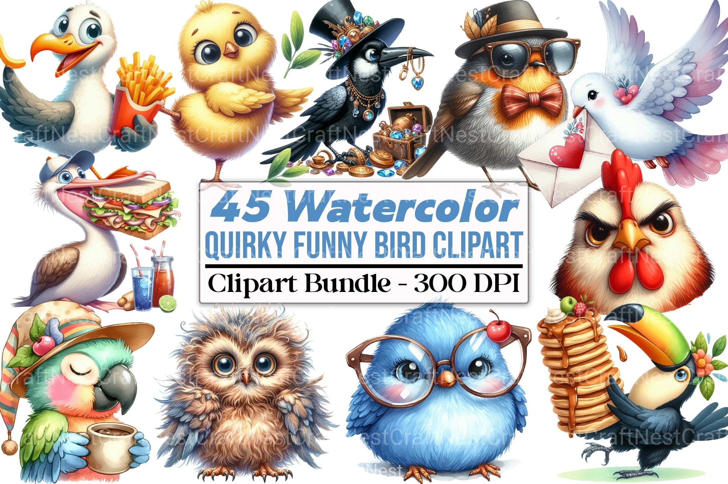Quirky Funny Bird Clipart Bundle - CraftNest - Digital Crafting and Art