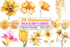 Gold Glowy Flowers Clipart Bundle