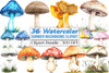 Summer Mushroom Clipart Bundle 11