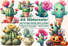 Cactus and Succulents Clipart Bundle 99