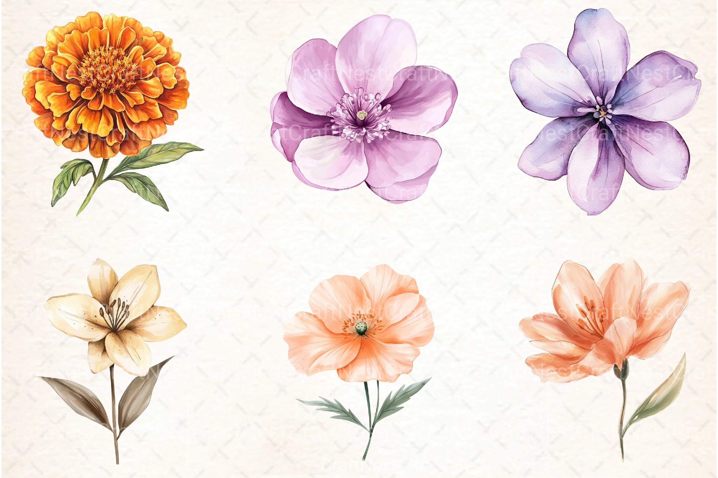 Boho Flower Clipart Bundle - CraftNest - Digital Crafting and Art