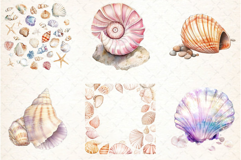 Ocean Sea Shell Clipart Bundle 55 - CraftNest - Digital Crafting and Art