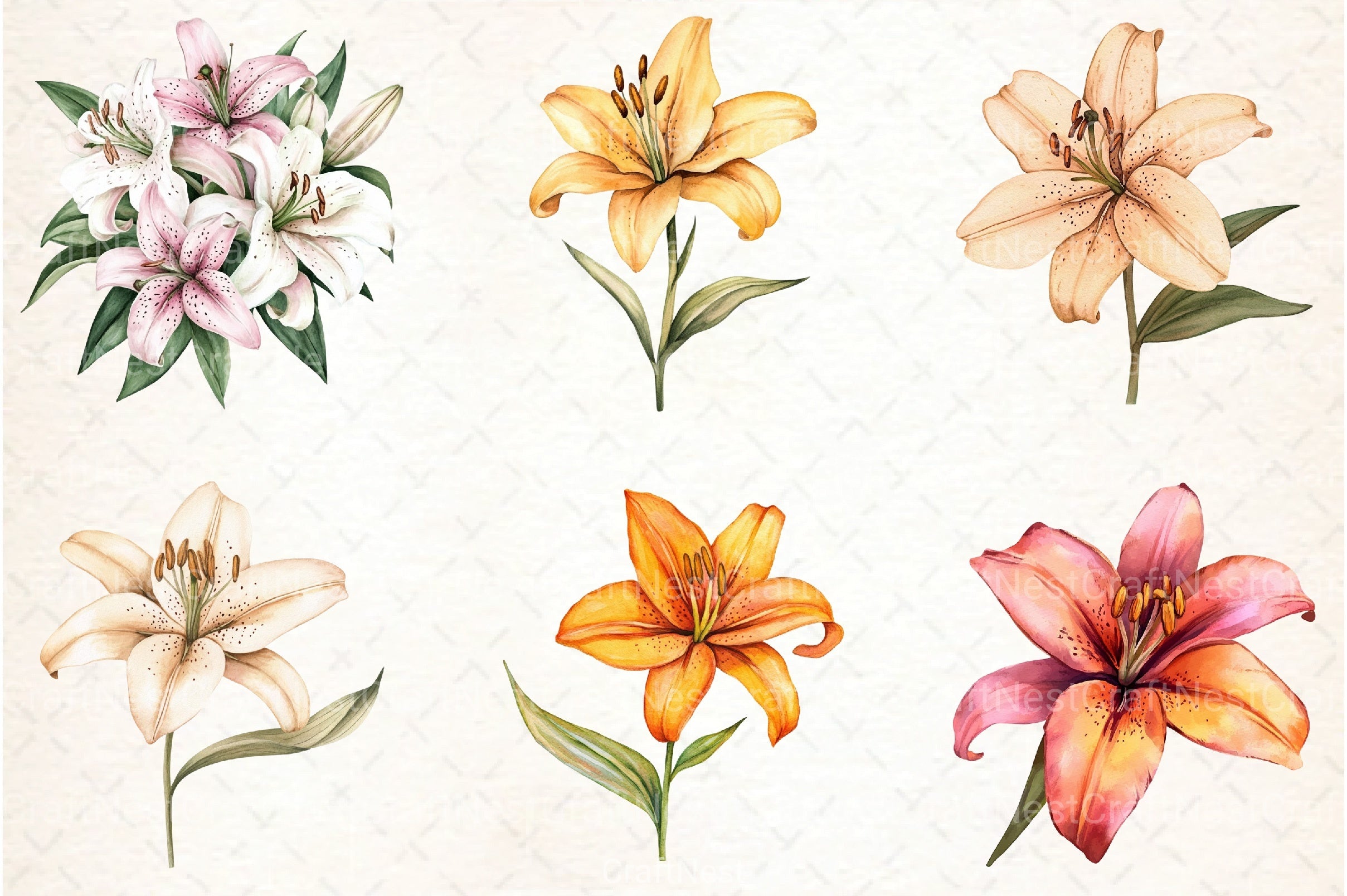 Lily Flower Boho Clipart Bundle - CraftNest - Digital Crafting and Art