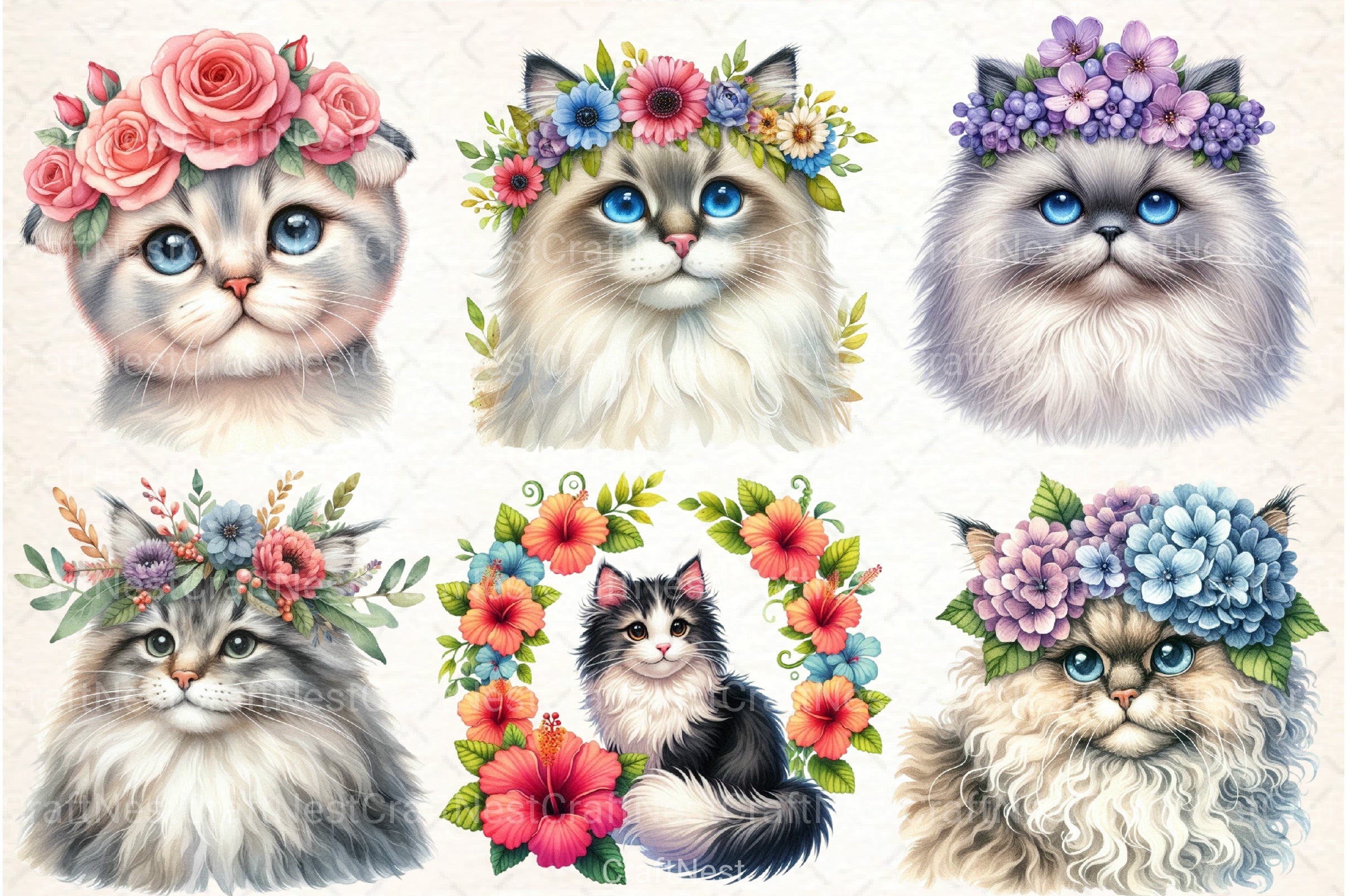 Cat Breeds Flower Crowns Clipart Bundle - CraftNest - Digital Crafting and Art