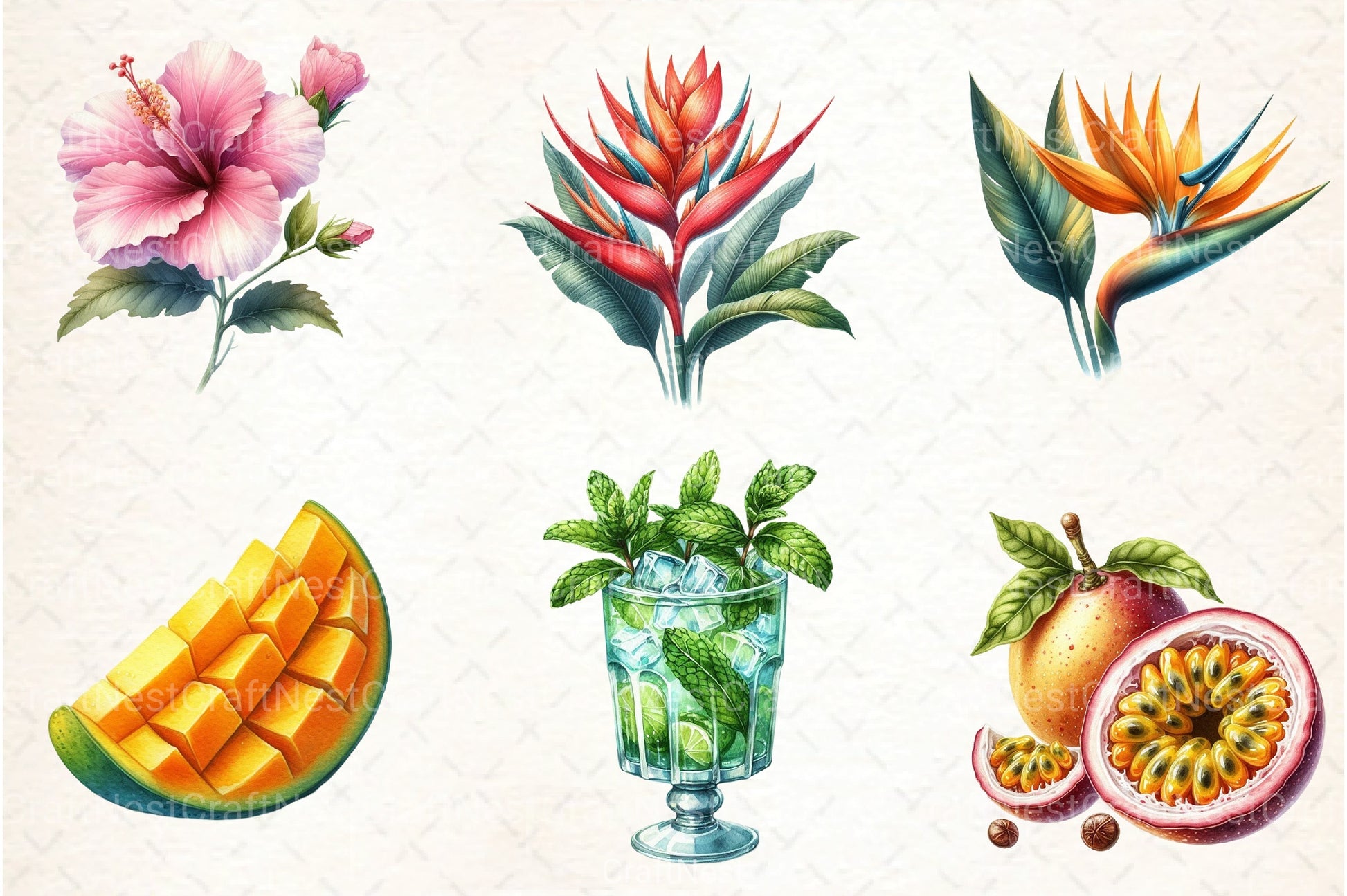 Tropical Summer Clipart Bundle 42 - CraftNest - Digital Crafting and Art