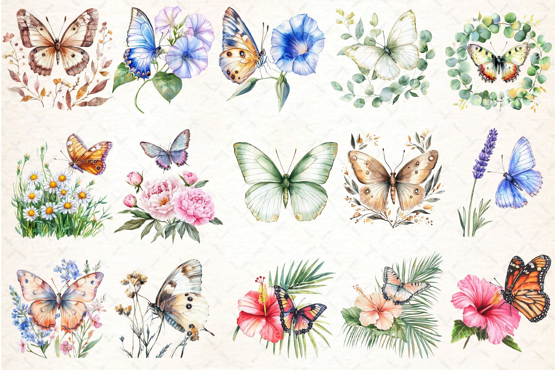 Cute Summer Butterfly & Flowers Clipart Bundle 98 - CraftNest - Digital Crafting and Art