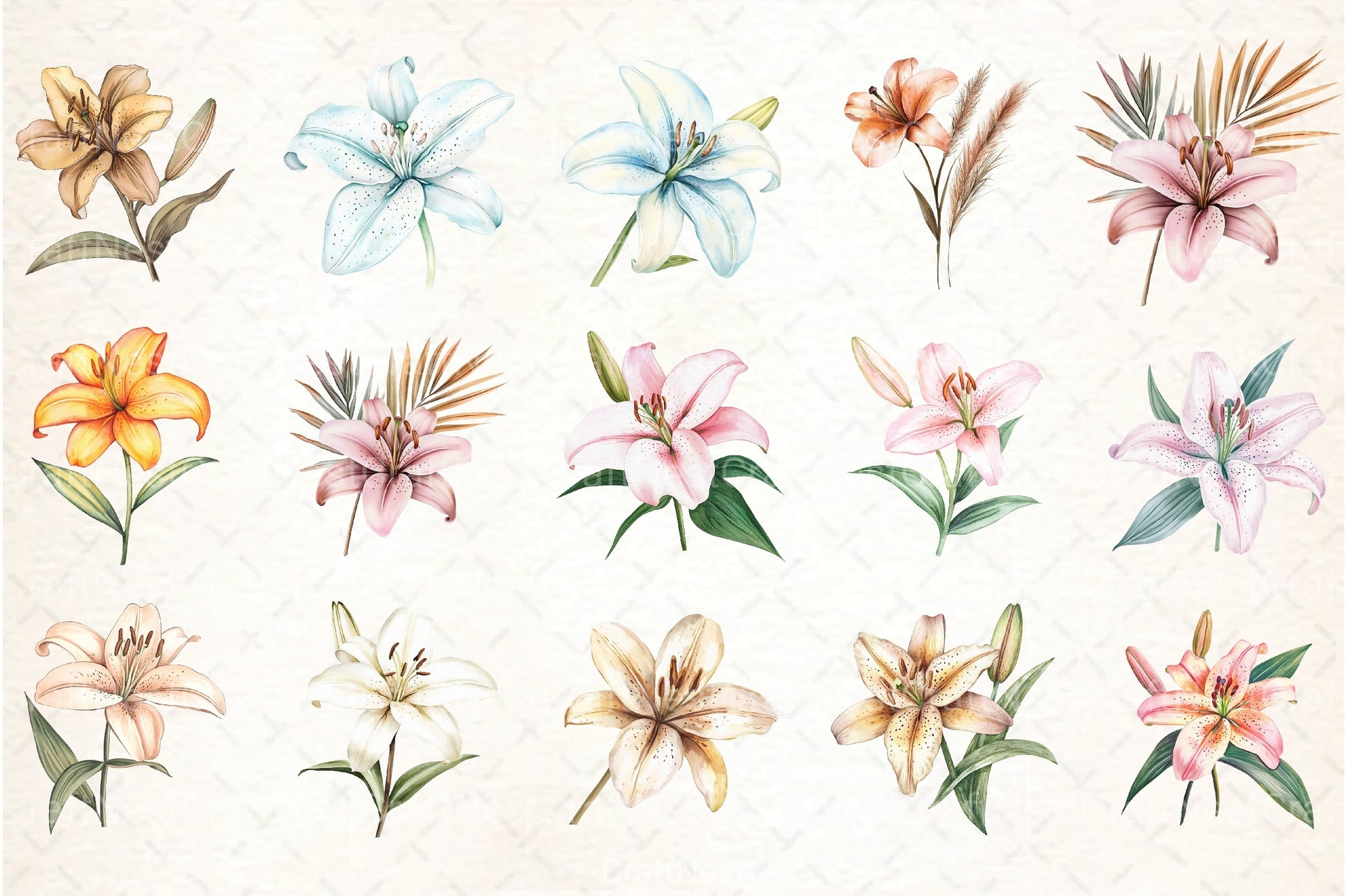 Lily Flower Boho Clipart Bundle - CraftNest - Digital Crafting and Art