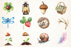 Summer Nature Walk Clipart Bundle - CraftNest - Digital Crafting and Art