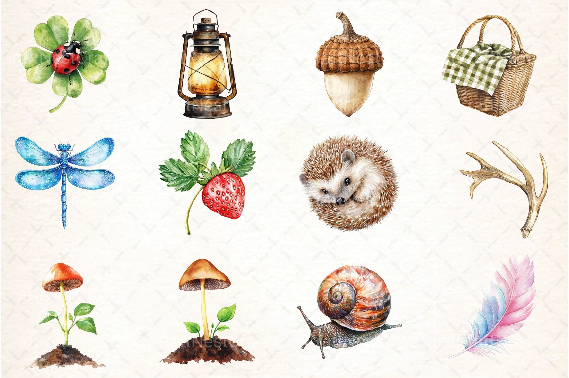 Summer Nature Walk Clipart Bundle - CraftNest - Digital Crafting and Art