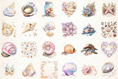 Ocean Sea Shell Clipart Bundle 55 - CraftNest - Digital Crafting and Art