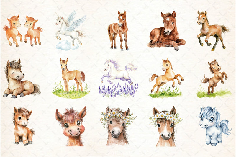 Whimsical Baby Horse Clipart Bundle - CraftNest - Digital Crafting and Art