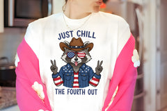 Funny Raccoon 4th of July Clipart Bundle - CraftNest - Digital Crafting and Art