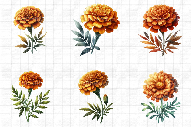 Fall Marigold Clipart - CraftNest - Digital Crafting and Art