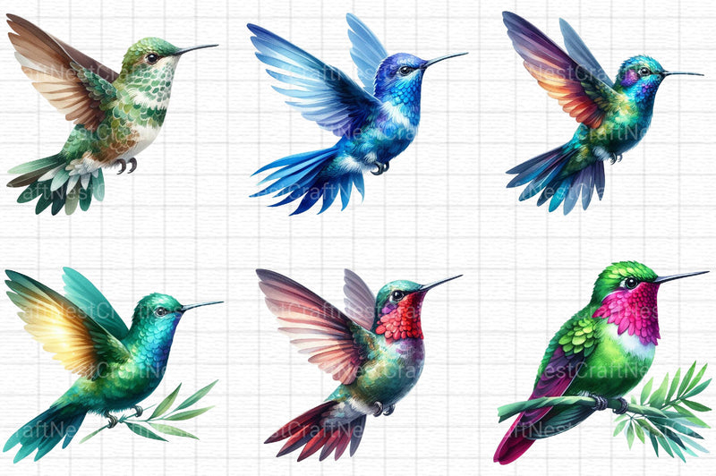 Hummingbird Clipart - CraftNest - Digital Crafting and Art