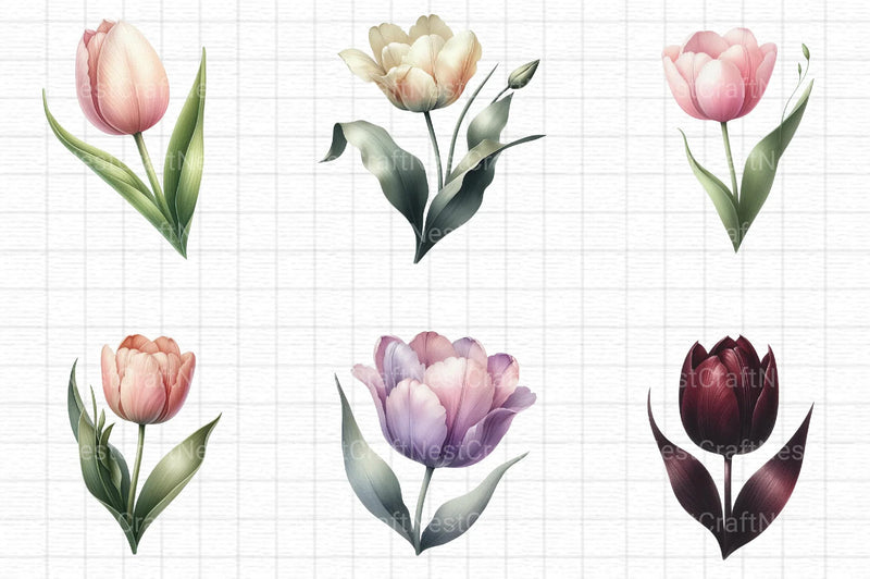 Floral Tulip Clipart Bundle - CraftNest - Digital Crafting and Art