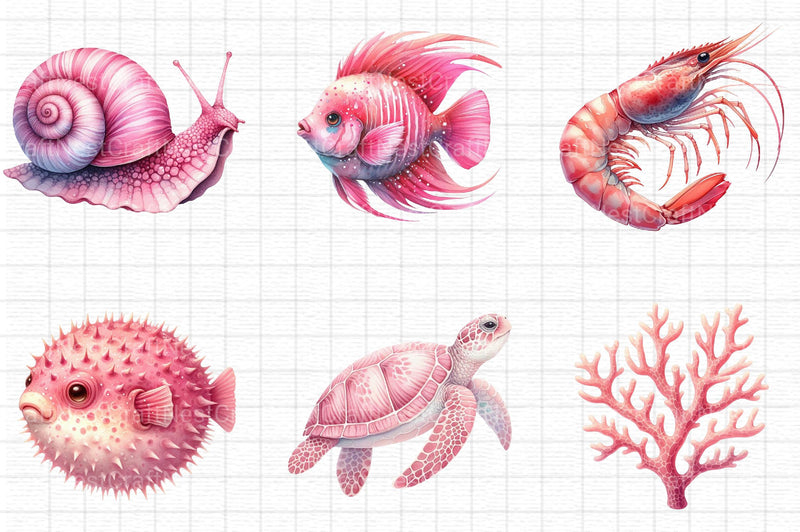 Sea Animals Clipart - CraftNest - Digital Crafting and Art