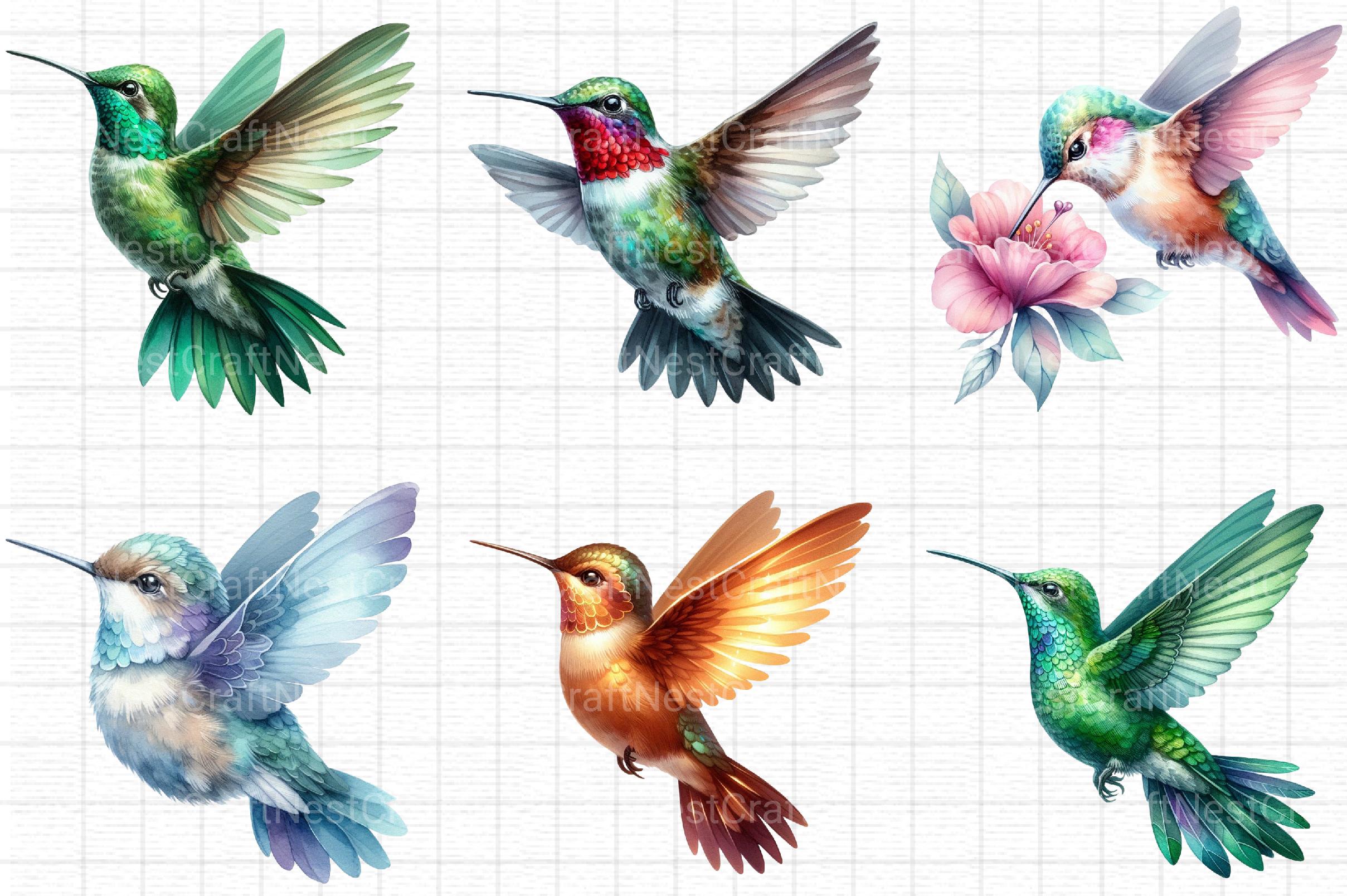 Hummingbird Clipart - CraftNest - Digital Crafting and Art