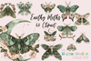 Enchanting Mystical Moth Clipart Bundle