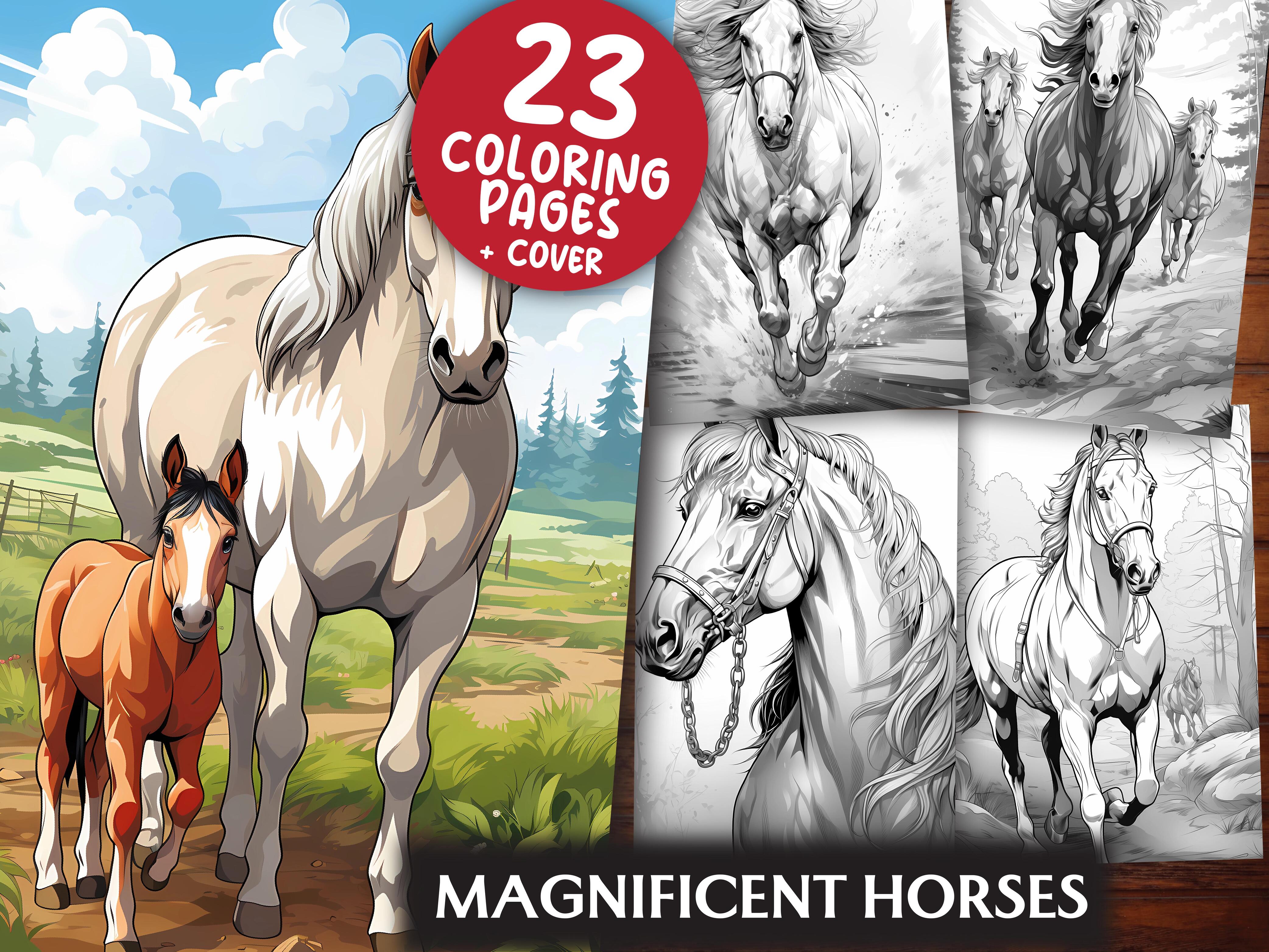 Magnificent Horses Coloring Books - CraftNest