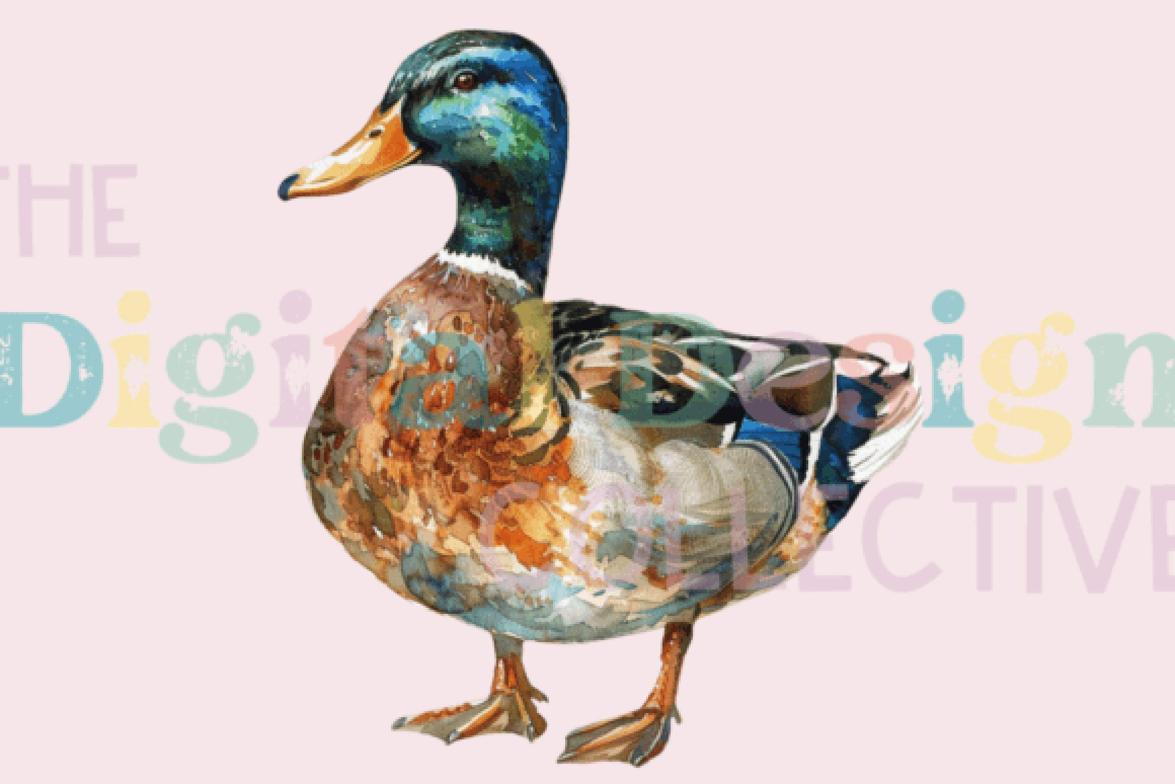 Ultimate Mallard Duck Hunting Guide Clipart Bundle