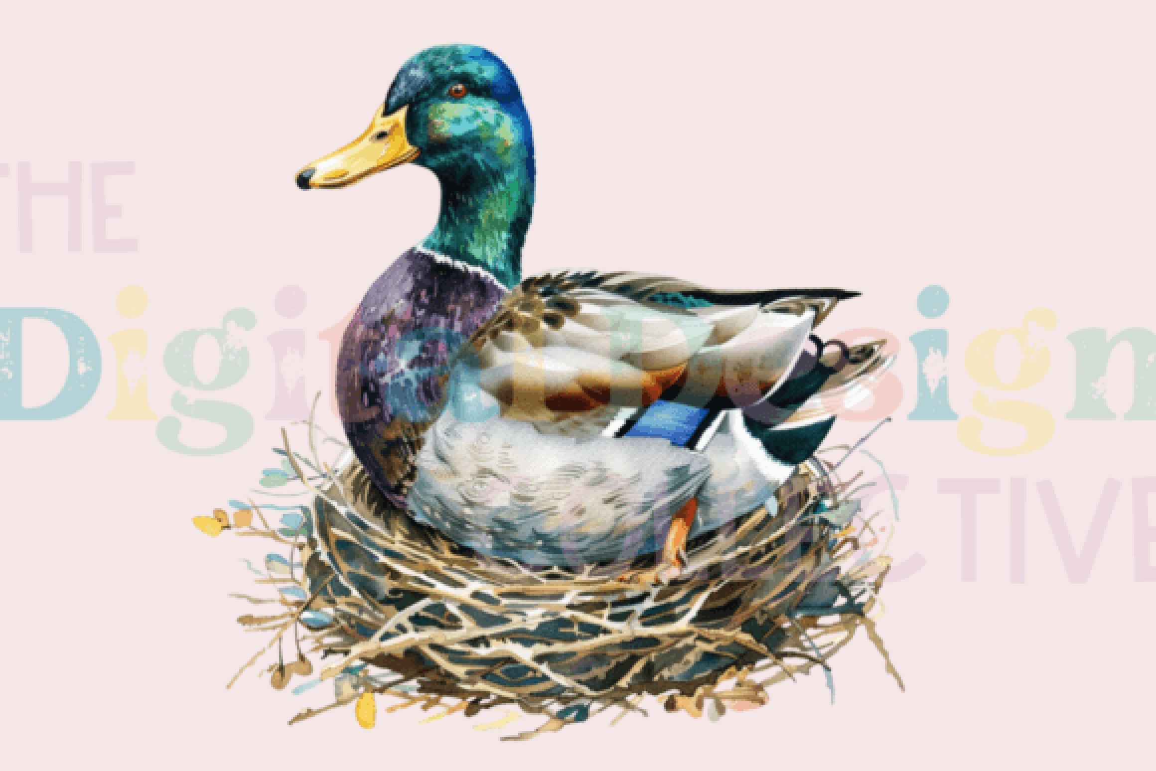 Ultimate Mallard Duck Hunting Guide Clipart Bundle