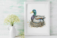 Ultimate Mallard Duck Hunting Guide Clipart Bundle - CraftNest - Digital Crafting and Art