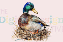 Mallard Duck Hunting Adventure Clipart Bundle - CraftNest - Digital Crafting and Art