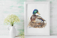 Mallard Duck Hunting Adventure Clipart Bundle - CraftNest - Digital Crafting and Art