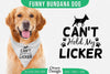 Funny Dog Bandana SVG Bundle