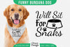 Funny Dog Bandana SVG Bundle