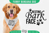 Funny Dog Bandana SVG Bundle