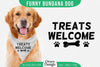 Funny Dog Bandana SVG Bundle