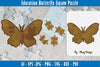 Butterfly Puzzle SVG Bundle