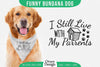 Funny Dog Bandana SVG Bundle