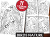 Birds Nature Coloring Book