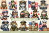 Cat in Military Clothes 4th of July Patriotic Clipart Cat Cl