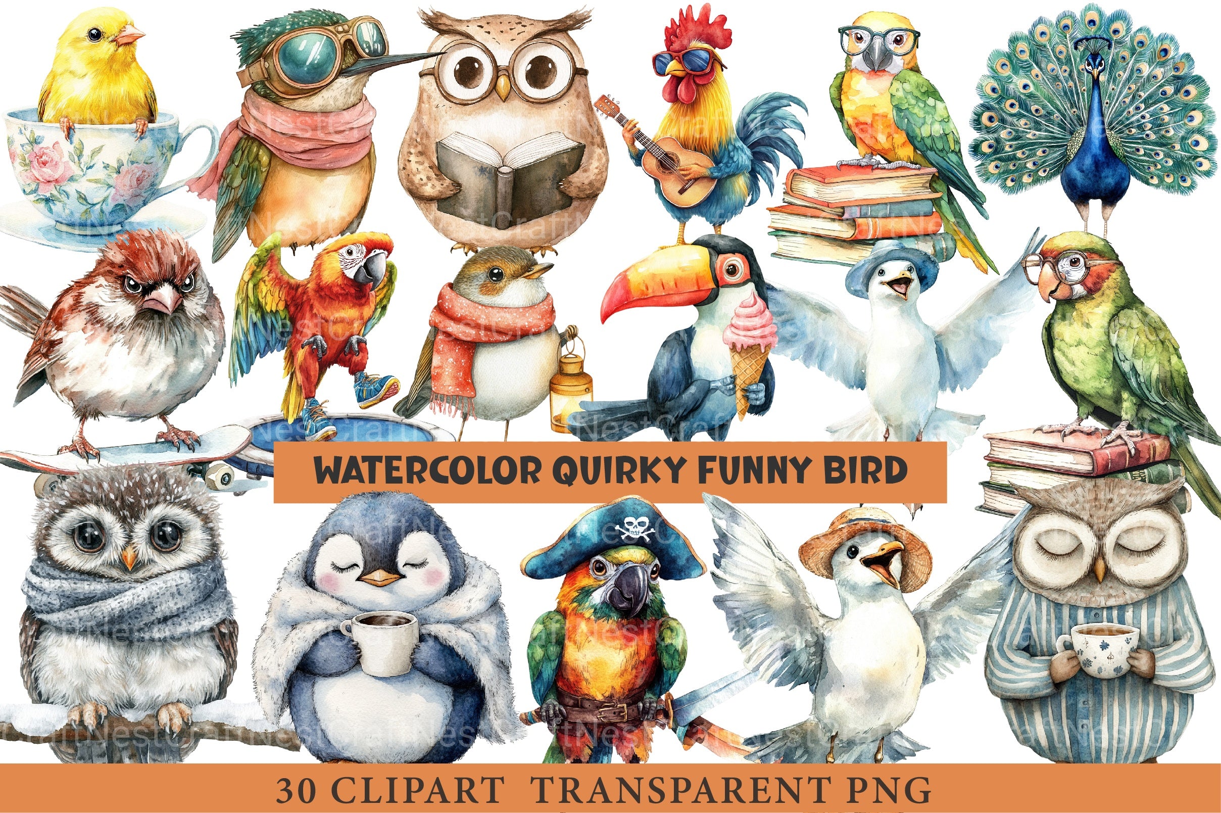 Quirky Funny Bird Clipart Bundle - CraftNest - Digital Crafting and Art