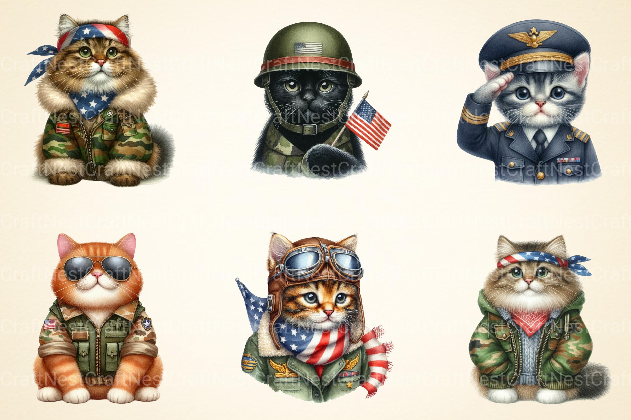 Cat in Military Clothes 4th of July Patriotic Clipart Cat Cl - CraftNest - Digital Crafting and Art