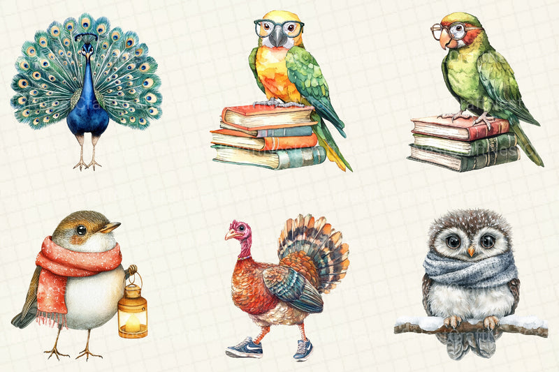 Quirky Funny Bird Clipart Bundle - CraftNest - Digital Crafting and Art