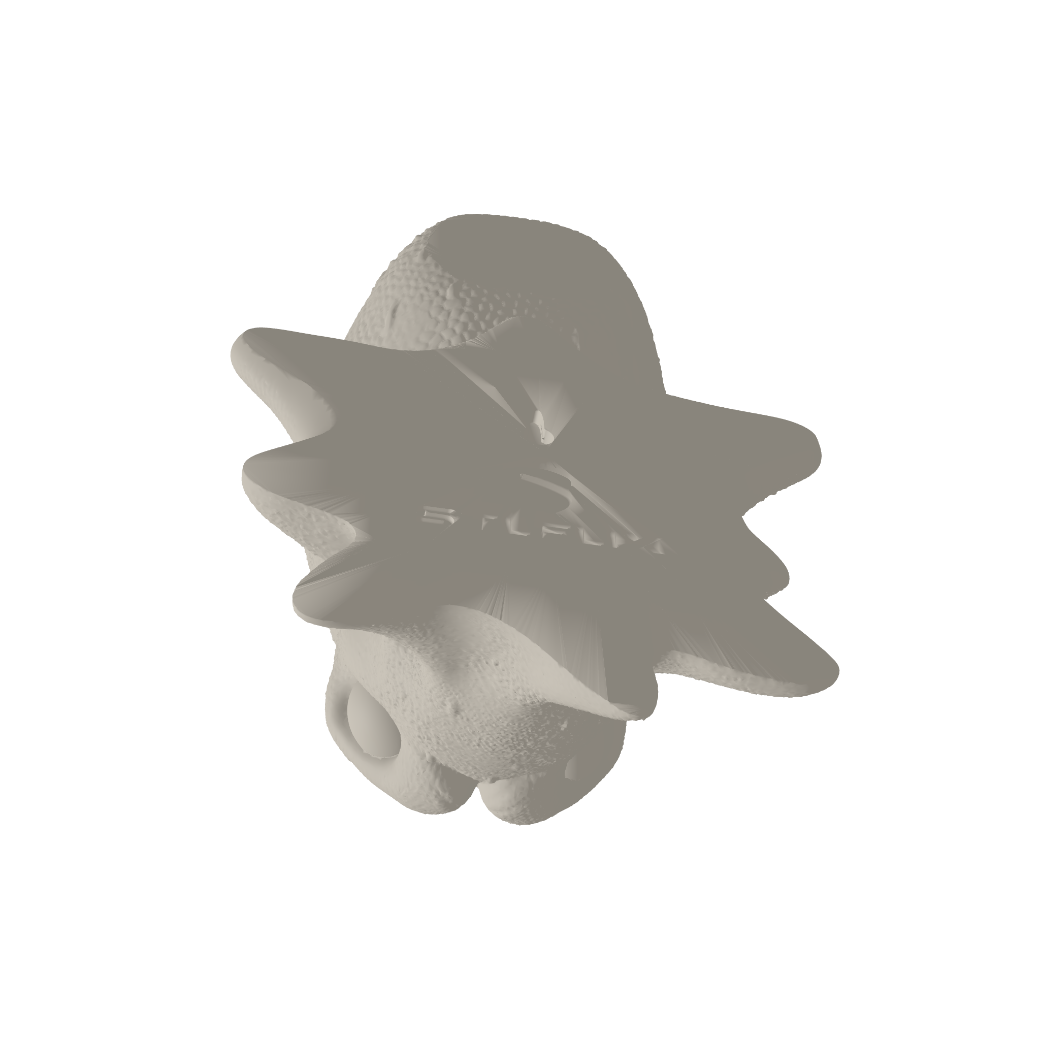 Octopus Head 3D Print STL File