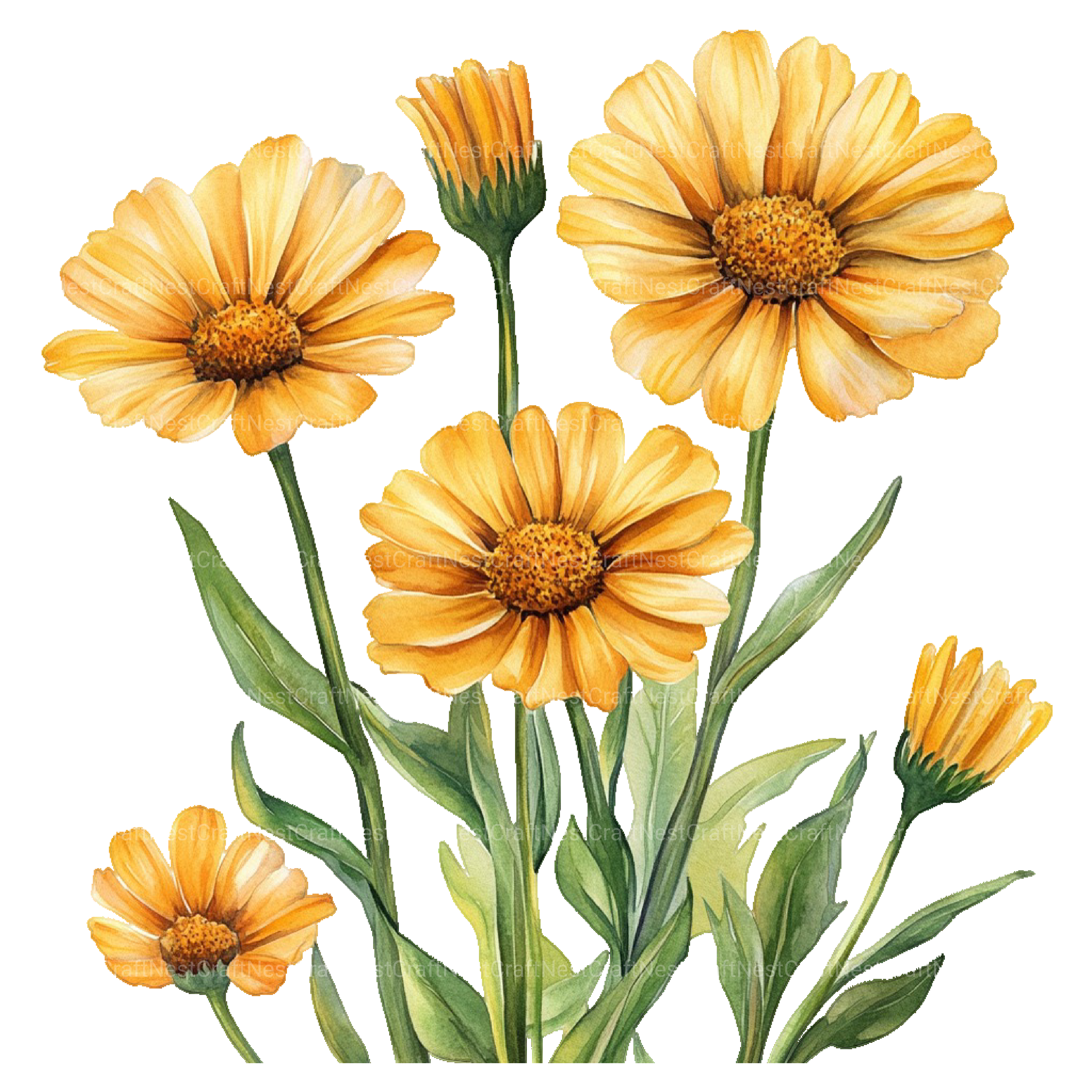 Medicinal Plants Clipart Bundle - CraftNest - Digital Crafting and Art